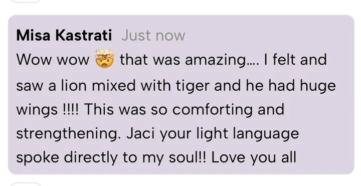 Misa Kastrati: Wow wow that was amazing. I felt and saw a lion mixed with tiger and he had huge wings!!!! This was so comforting and strengthening. Jaci your light language spoke directly to my soul!! Love you all